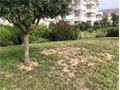 Image du bien UBI482192108